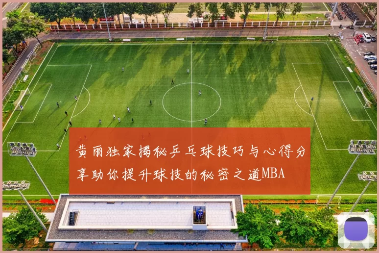 黄丽独家揭秘乒乓球技巧与心得分享助你提升球技的秘密之道MBA