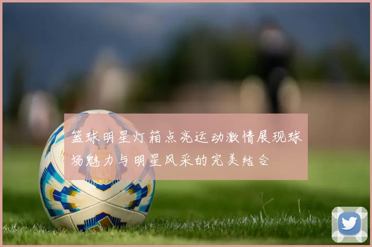 篮球明星灯箱点亮运动激情展现球场魅力与明星风采的完美结合