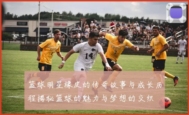 篮球明星橡皮的传奇故事与成长历程揭秘篮球的魅力与梦想的交织