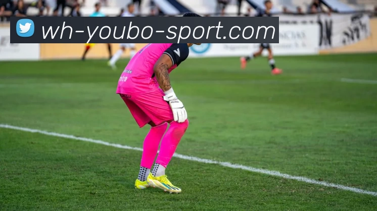 YB友博平台平台生态图